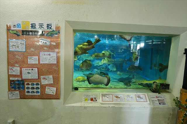 桂浜水族館