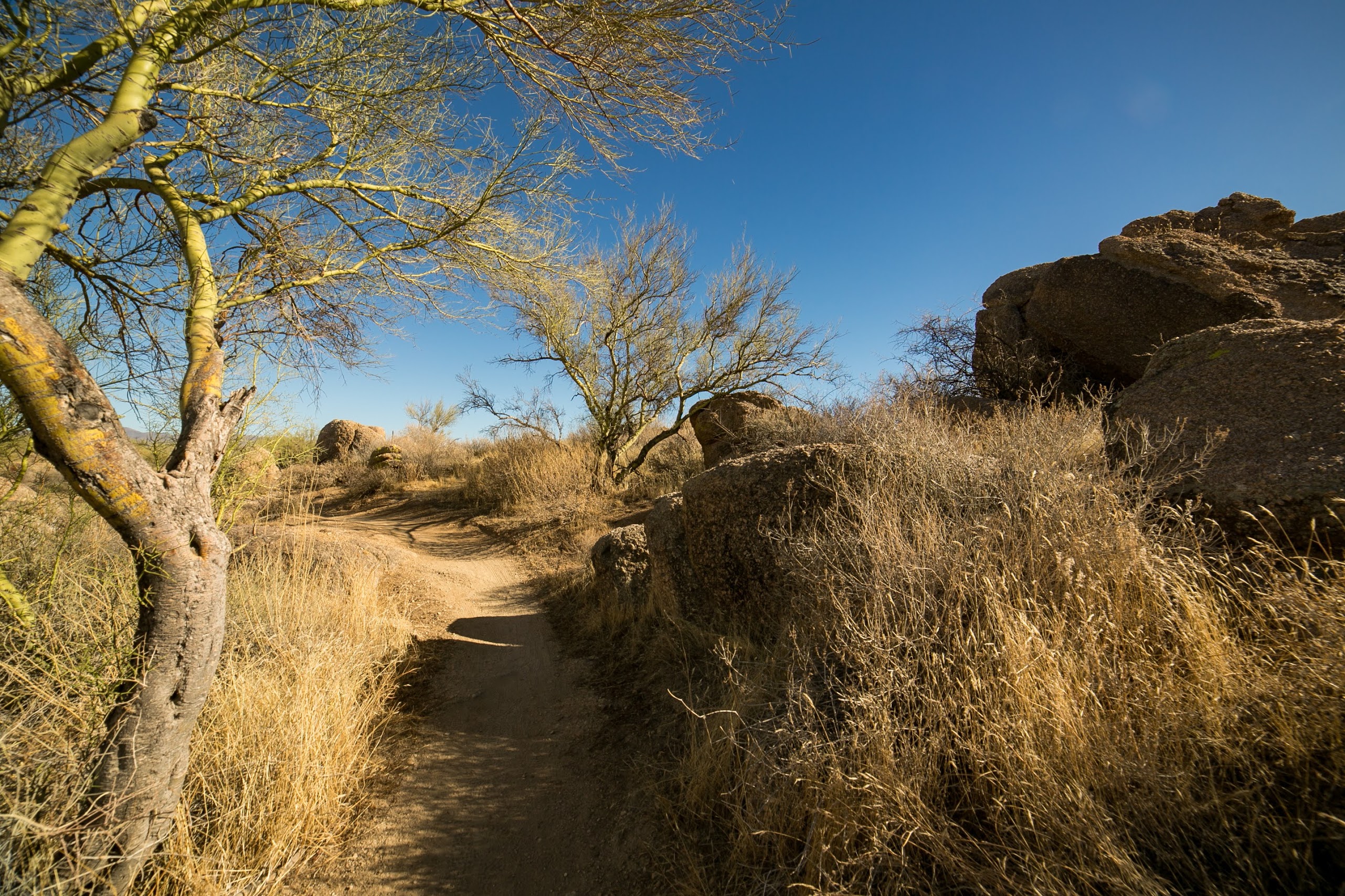 Hawknest/Rock Tank/Latigo Trails, SMSP