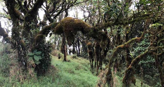 Parque Nacional ôbo