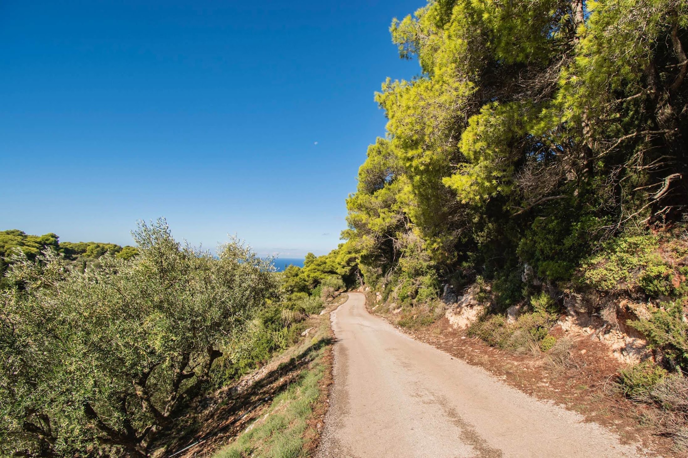 auto huren zakynthos tui