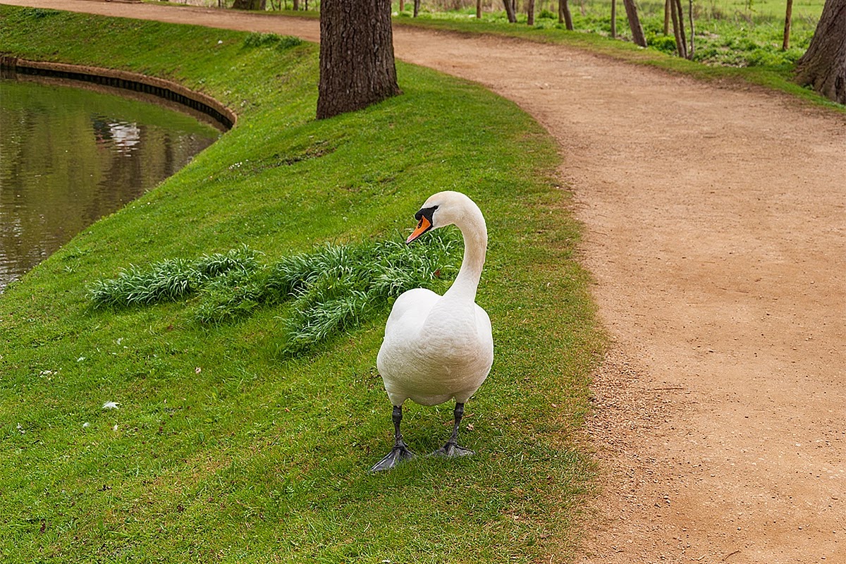 Oxford, Anglia