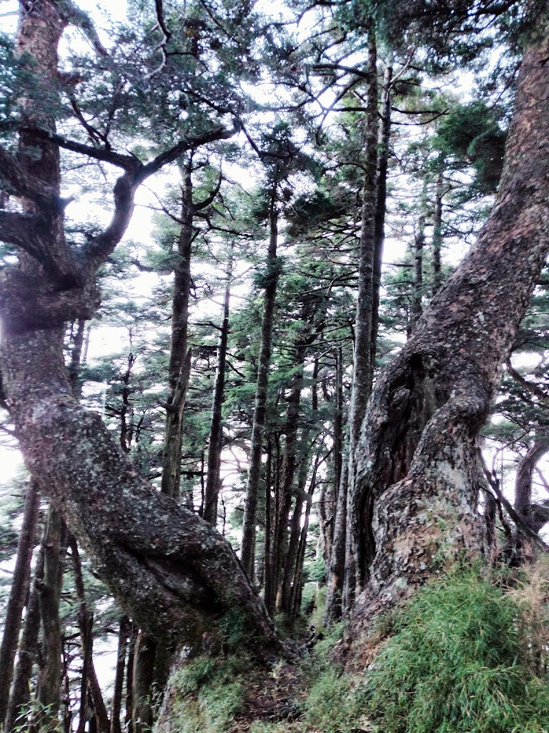 2020_南一段_DAY2 庫哈諾辛山屋~三千營地 ▲關山*