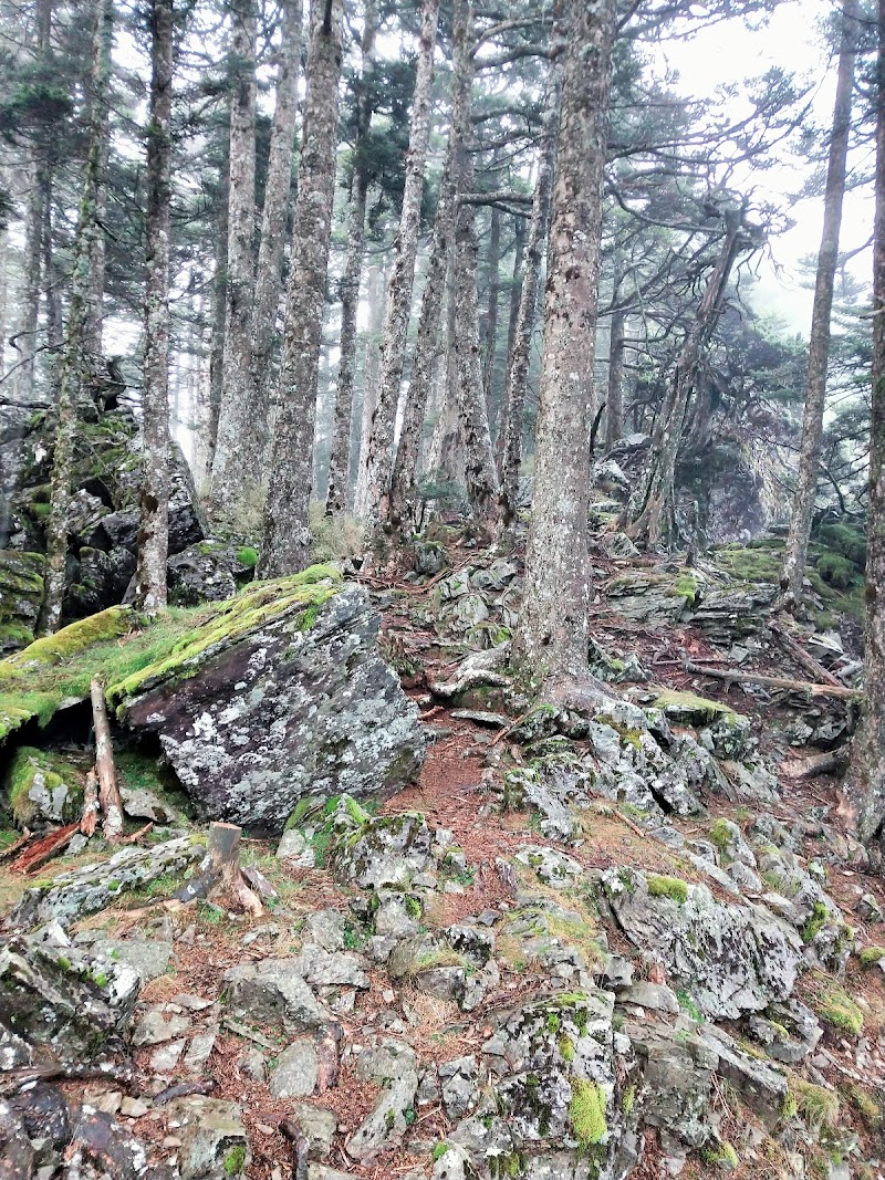 2020_南一段_DAY2 庫哈諾辛山屋~三千營地 ▲關山*