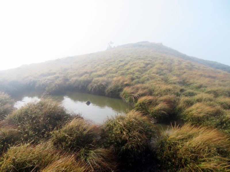 2020_南一段_DAY3 三千營地~雲水池營地 ▲海諾南山