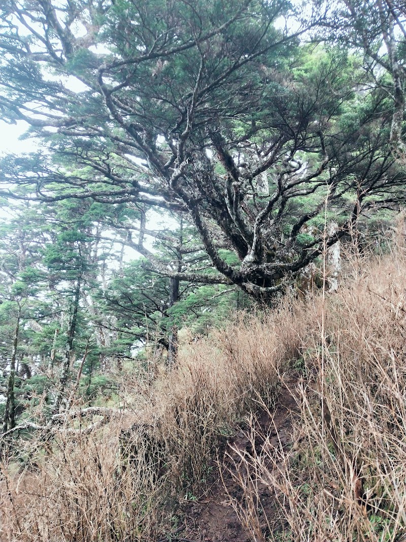 2020_南一段_ DAY4  雲水池營地~三叉峰下營地**