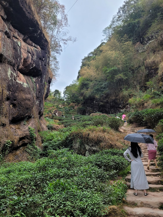 '22 南平---武夷山, 白雲禪寺+印象大紅袍