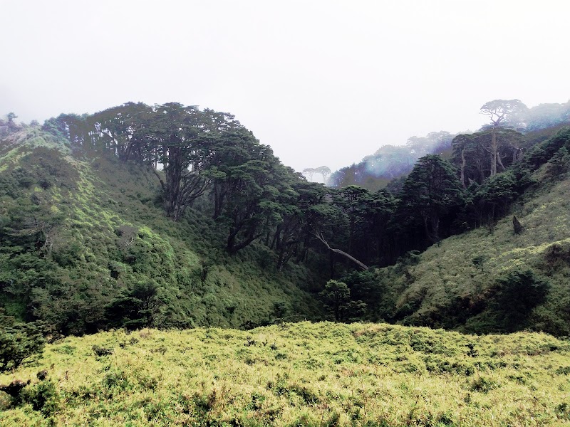 2020_南一段_ DAY4  雲水池營地~三叉峰下營地**