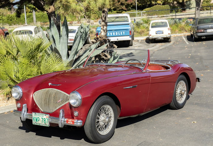 1955 Austin-Healey 100 Roadster for sale - price, value, cost