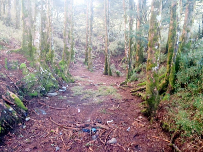 2020_南一段_DAY3 三千營地~雲水池營地 ▲海諾南山