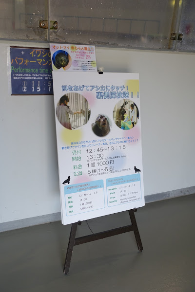 【2016北海道親子行】登別尼克斯海洋公園。企鵝遊行好可愛