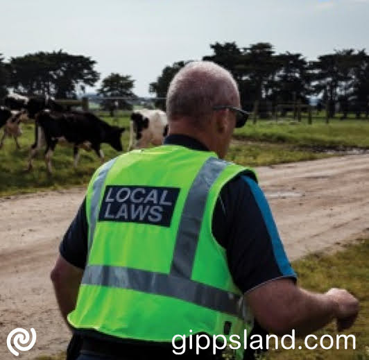 Share input by November 2, 2023, on South Gippsland's new General Local Law. The council values your feedback