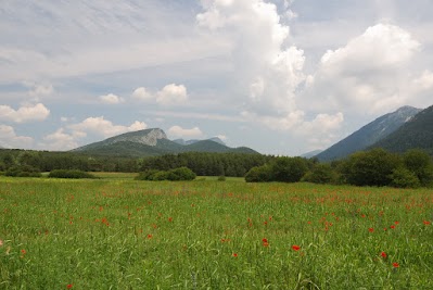 Blumenwiese nahe La Bastide.