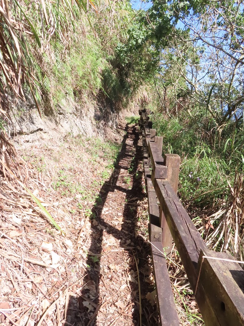 2022_台南～福龍山步道 走 凍子頂山