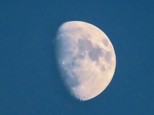 Moon