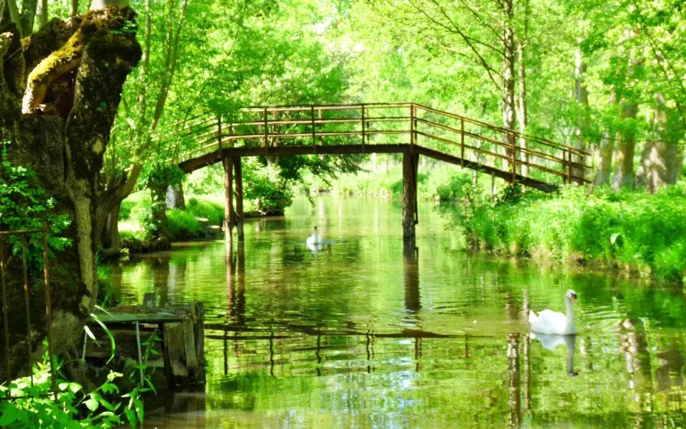 Marais Poitevin: A Veneza verde da França