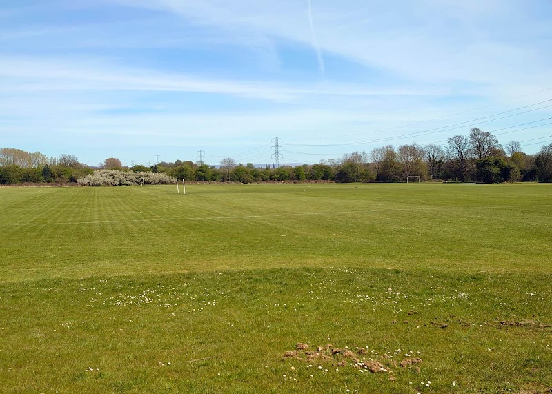 Grass Pitches