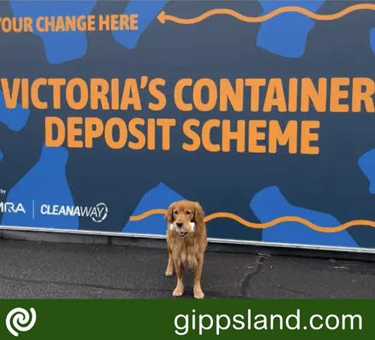 Victoria's Container Deposit Scheme transforms recycling, curbing litter by offering 10-cent refunds for eligible items, contributing to the circular economy