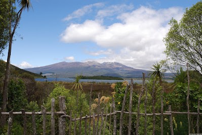 Blick ber Lake Rotoaira auf Tongariro National Park.