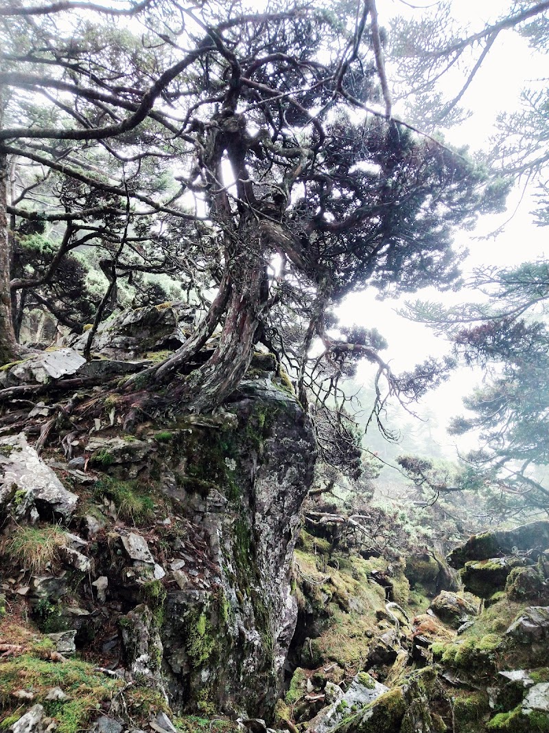 2020_南一段_DAY2 庫哈諾辛山屋~三千營地 ▲關山*