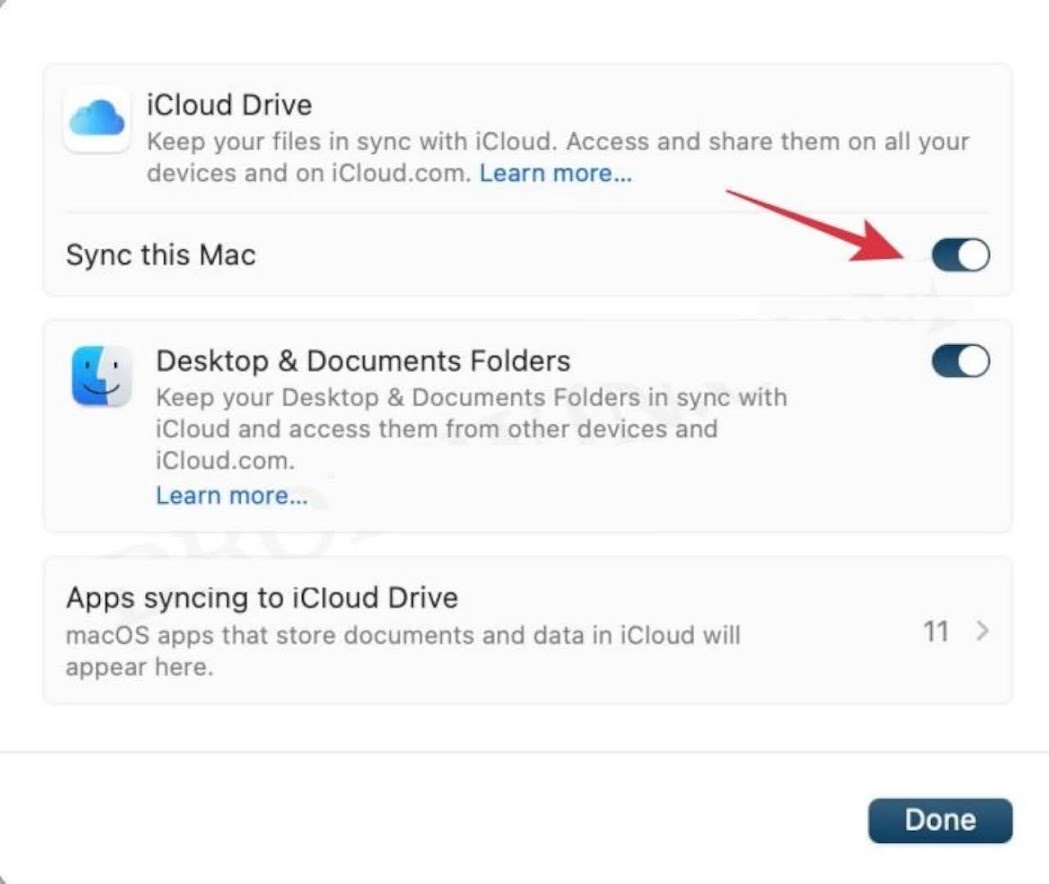 Turn off the toggle for iCloud Drive.
