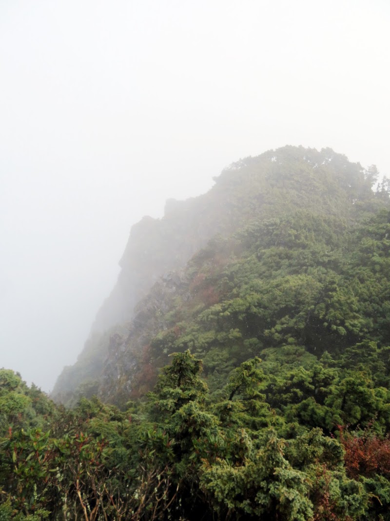 2020_南一段_DAY2 庫哈諾辛山屋~三千營地 ▲關山*