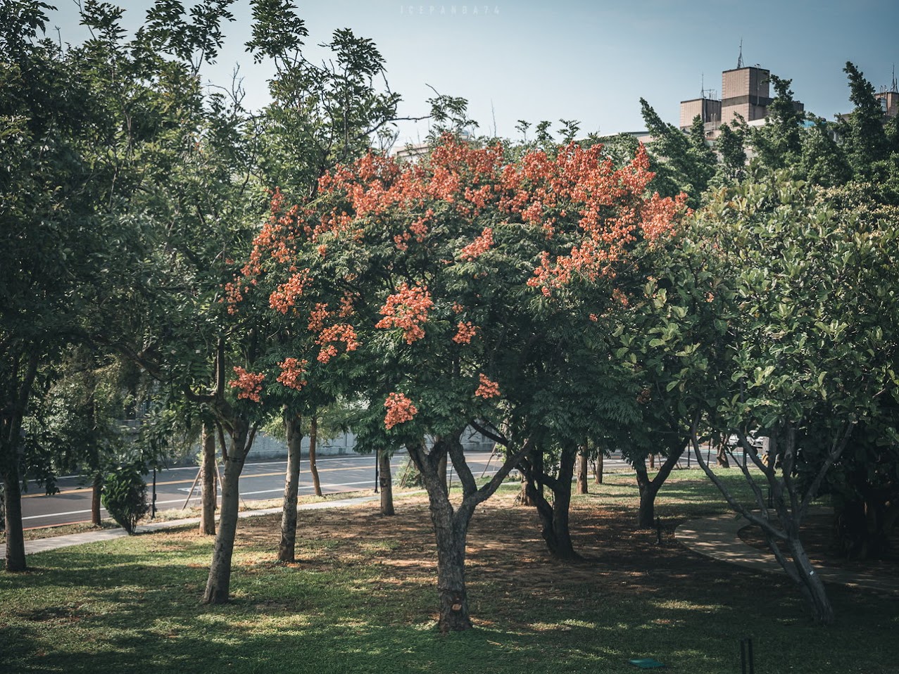 桃園景點,1895乙未保台紀念公園