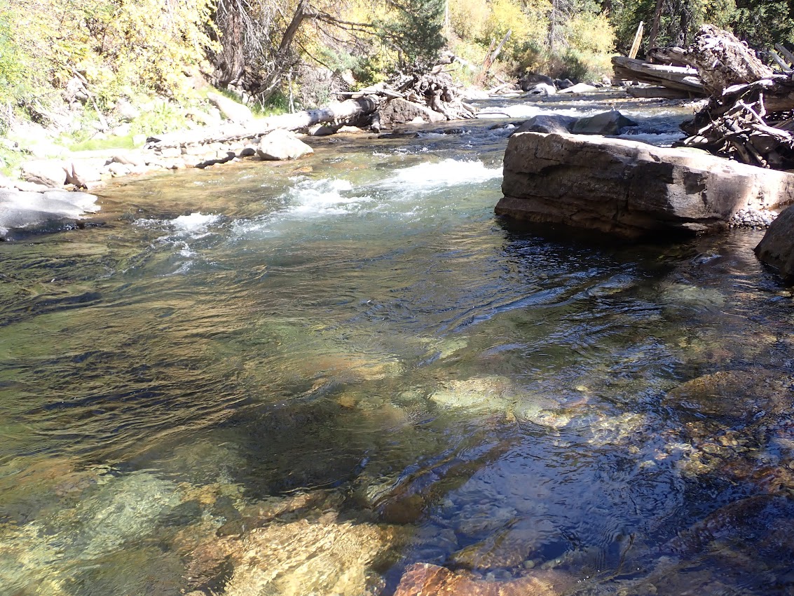 Fishing Report: The White River near Meeker, CO by Shannon Branham