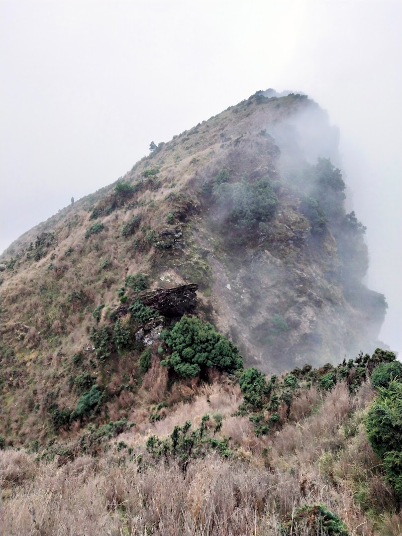 2020_南一段_ DAY4  雲水池營地~三叉峰下營地**