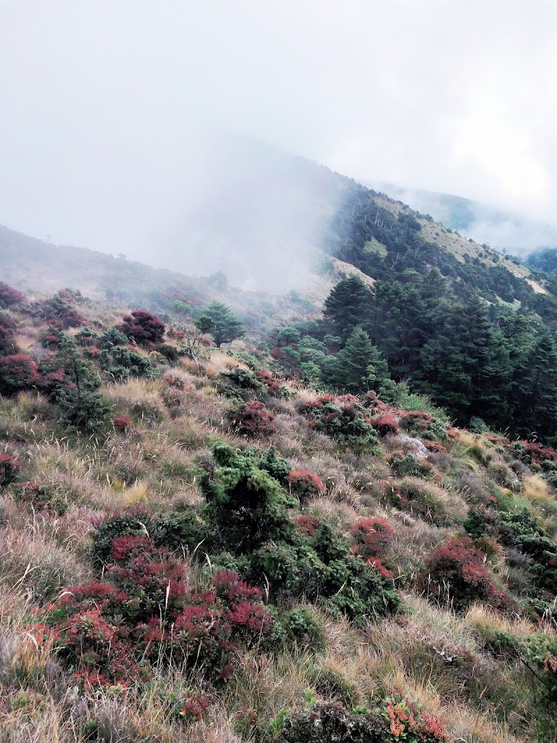 2020_南一段_ DAY4  雲水池營地~三叉峰下營地**