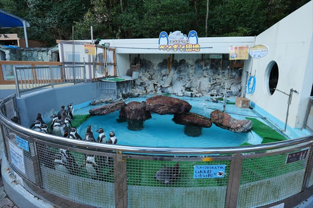 桂浜水族館