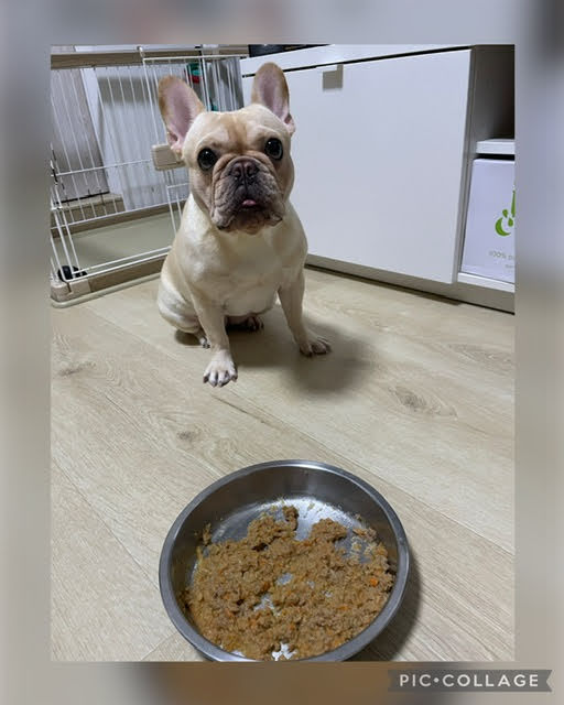 【愛毛仕】無添加寵物鮮食|草飼牛/雞肉/鱘龍魚鮮食瓶×鱘龍魚