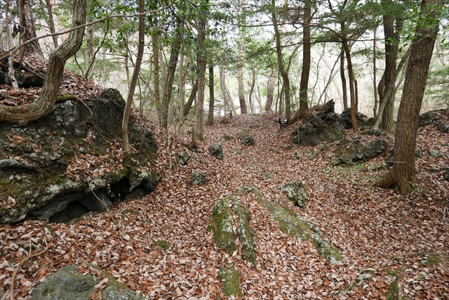 鳴沢の溶岩樹形