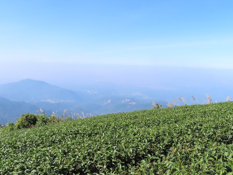 2022_台南～福龍山步道 走 凍子頂山