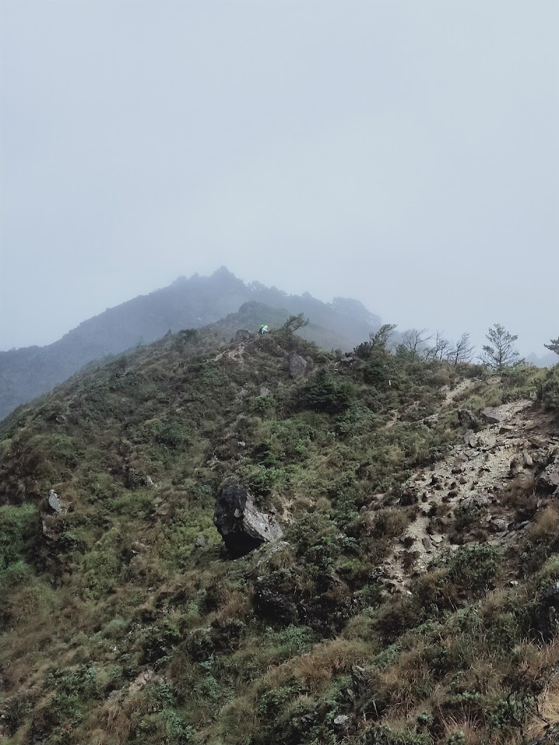 2020_南一段_ DAY4  雲水池營地~三叉峰下營地**