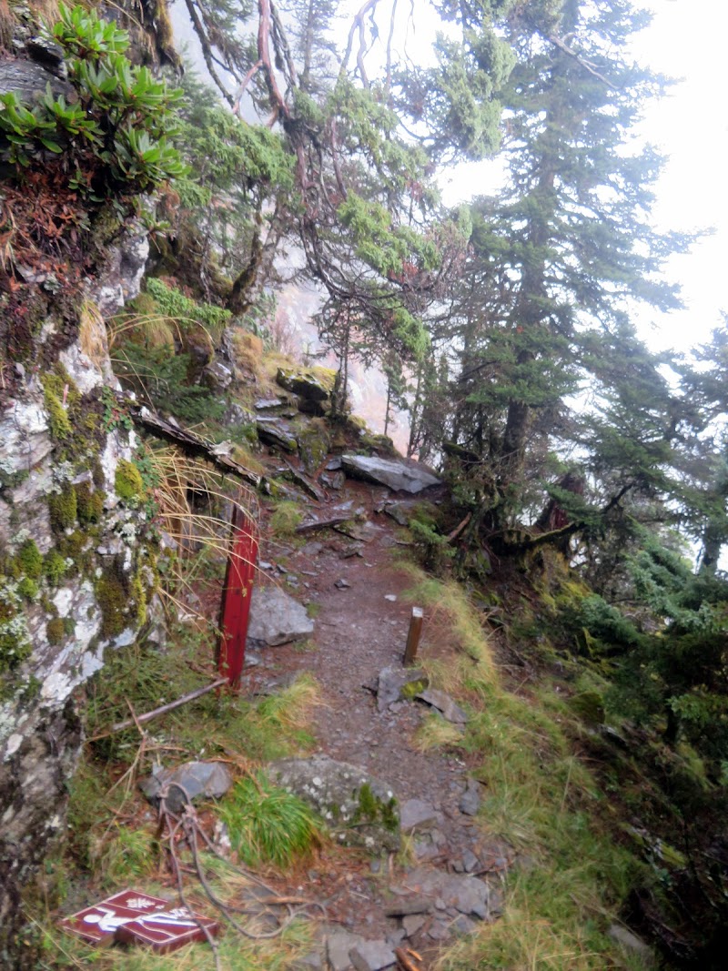 2020_南一段_DAY2 庫哈諾辛山屋~三千營地 ▲關山*