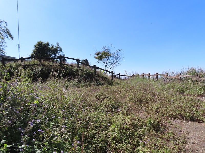 2022_台南～福龍山步道 走 凍子頂山