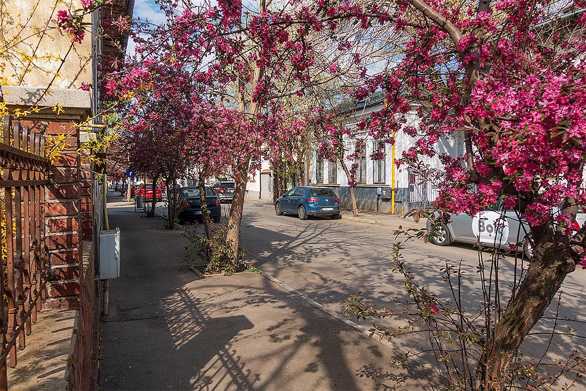 Cartierul Evreiesc, București