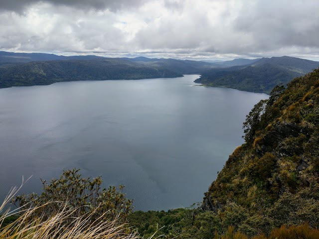 Lake Waikaremoana Great Walk Track Views