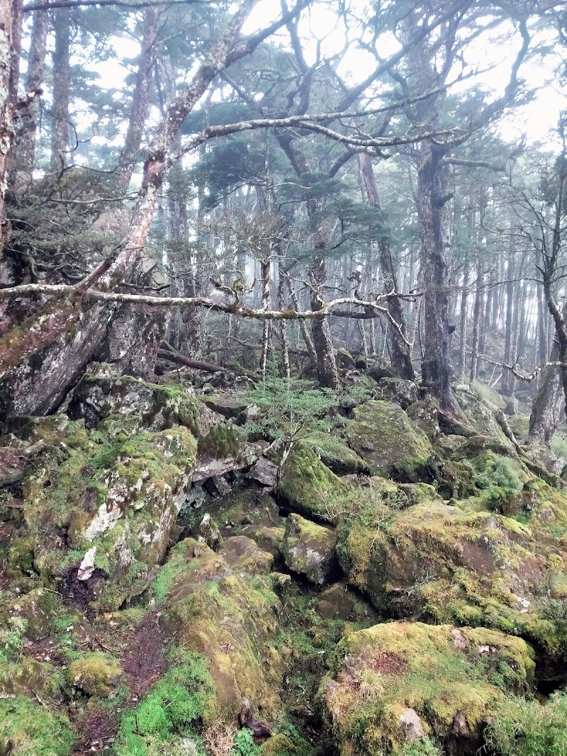 2020_南一段_ DAY4  雲水池營地~三叉峰下營地**