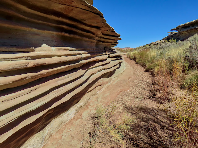 Layers in the Curtis Formation