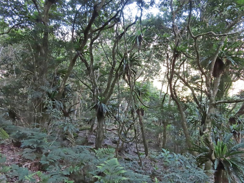 2023_八通關越道路 之 瓦拉米山屋~山風登山口**