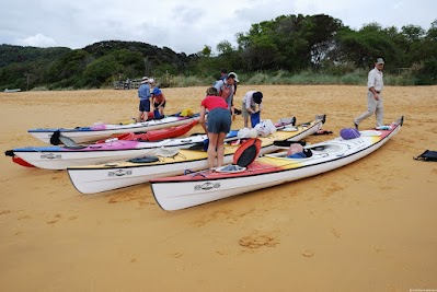 Ich erkunde den Abel Tasman NP mit dem Seekajak.