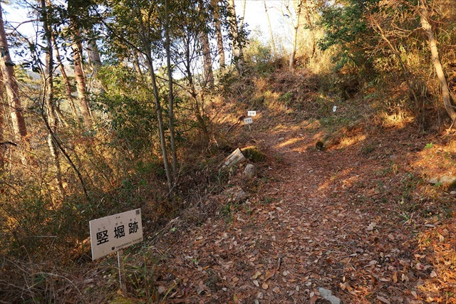 要害山城跡