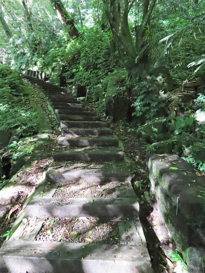 2022_森遊竹縣～馬胎古道 老鷹溪步道 青蛙石天空步道**