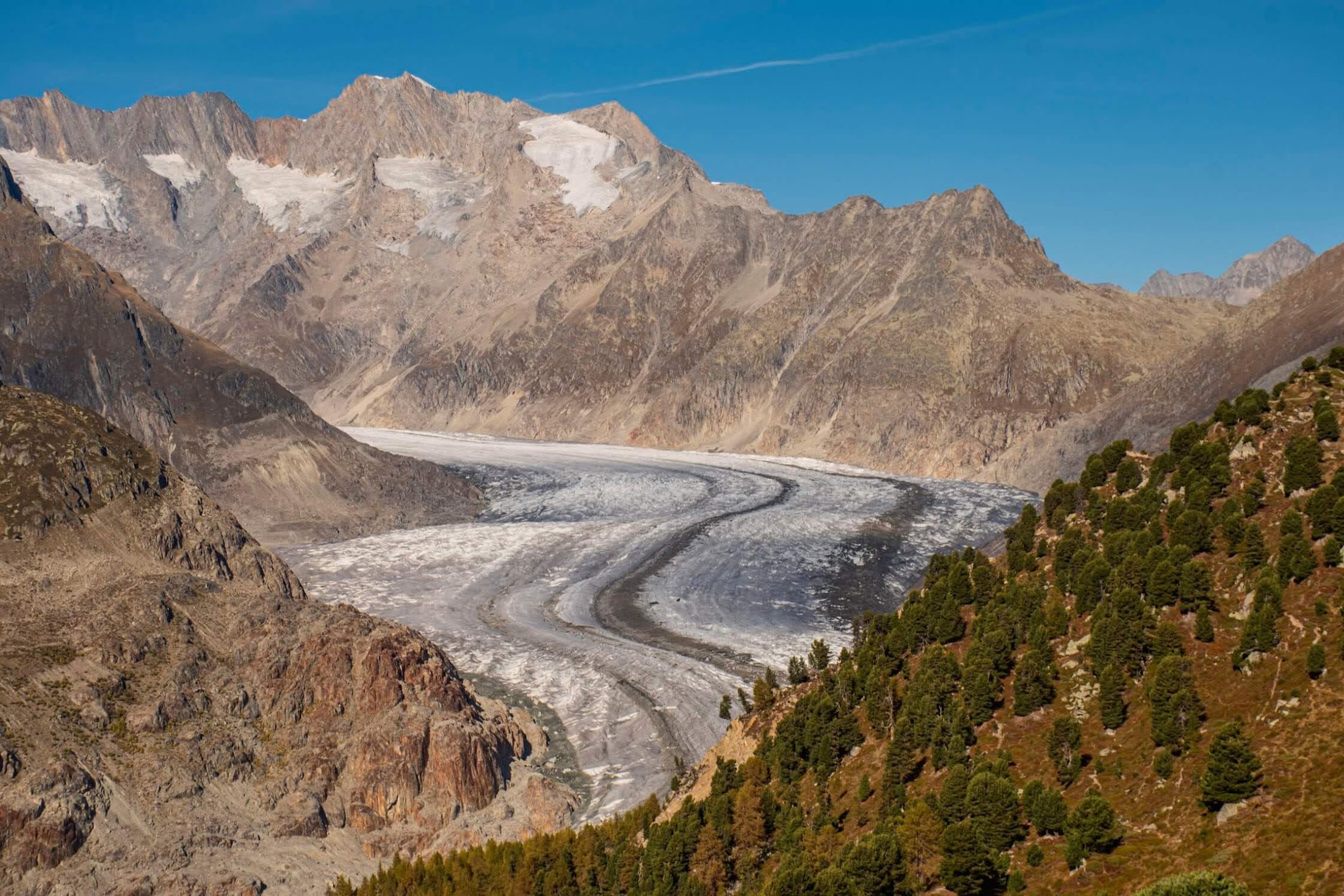 Aletsch gletsjer