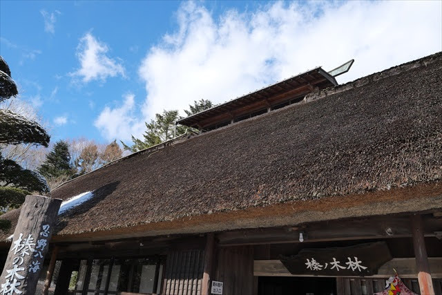 榛の木林資料館