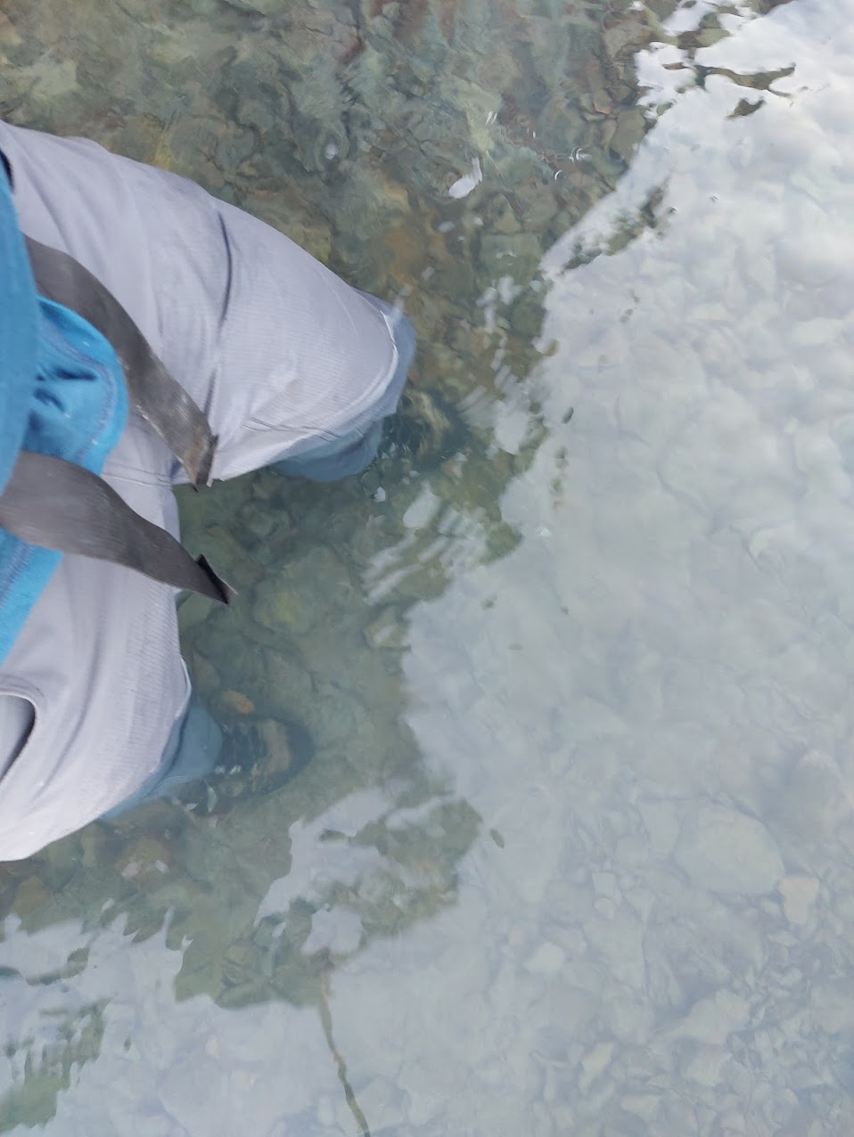 Legs, with pants and boots on, in thigh-deep water