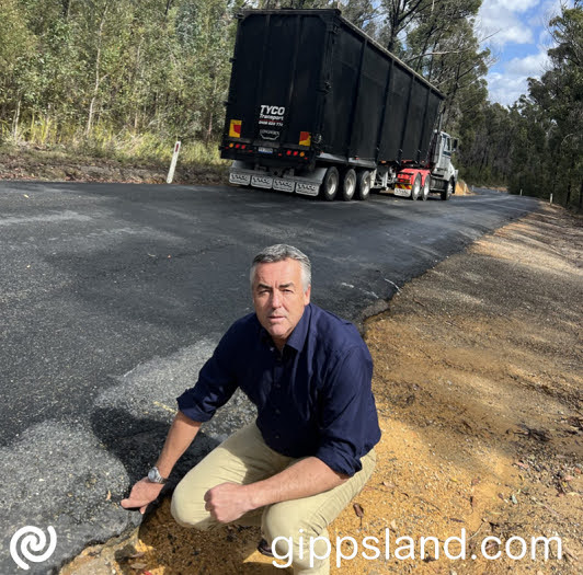 Federal Member for Gippsland Darren Chester says insurance companies have increased their premiums for Mallacoota residents and blamed the access road for increasing the risk to the community