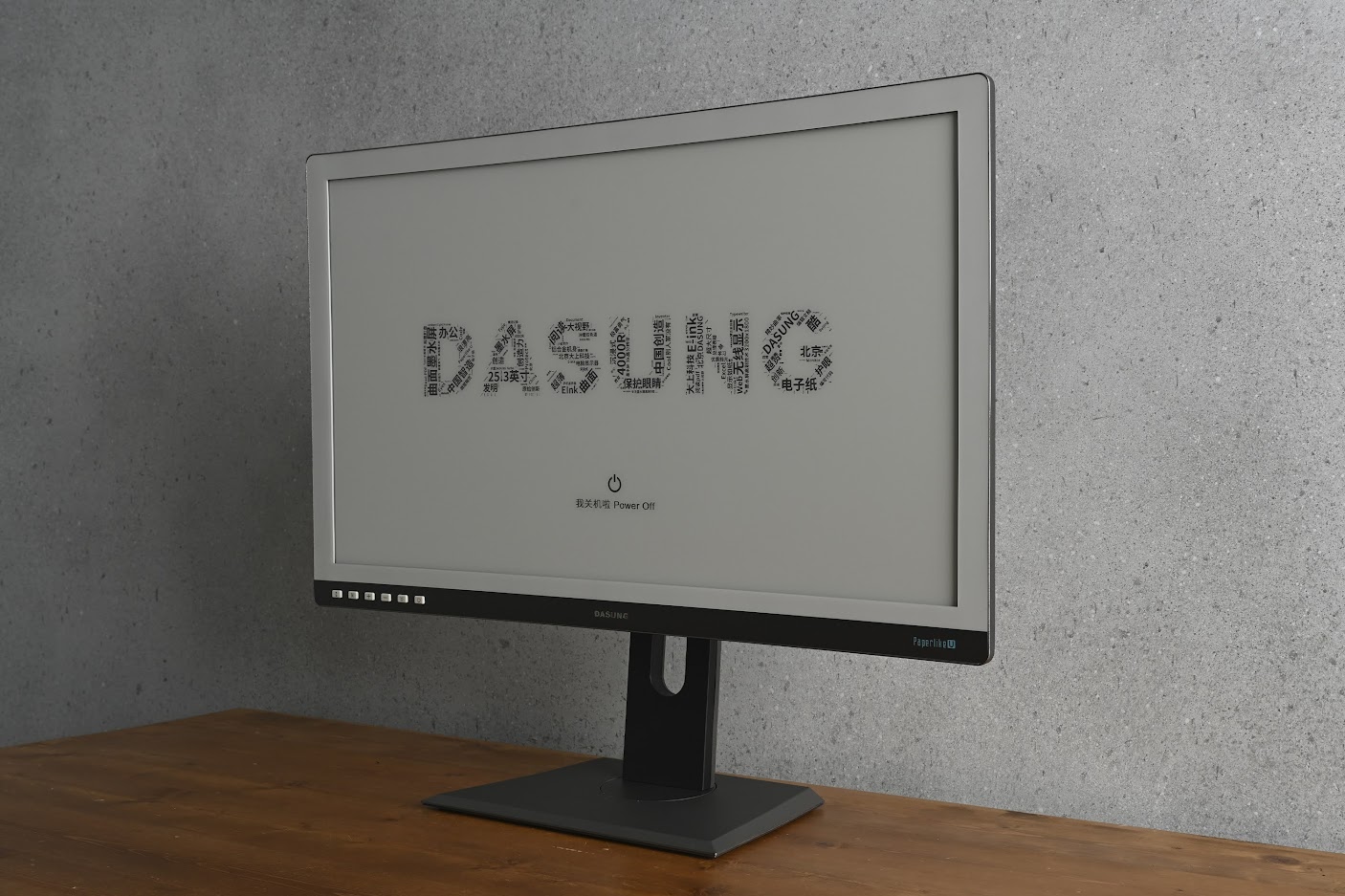 DASUNG253U-F