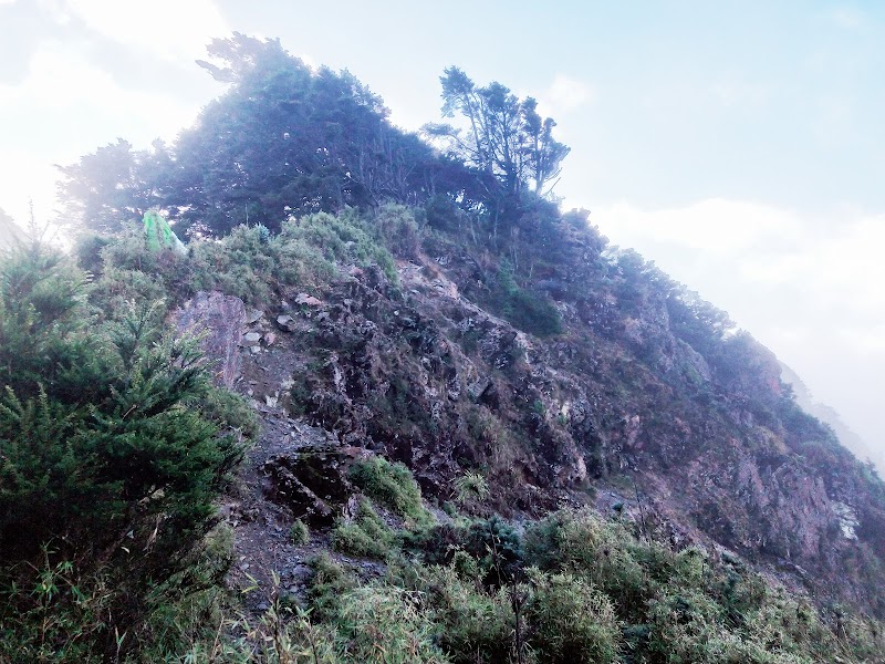 2020_南一段_ DAY4  雲水池營地~三叉峰下營地**